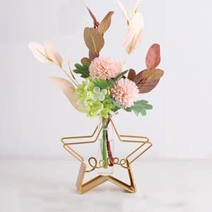 Aashralya? Star Shape Glass Tube Vase | Home Decoration Glass Test Tube Iron Art for Home Decoration